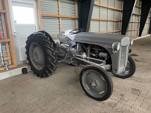 Ferguson 31