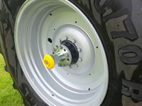 Billede 6