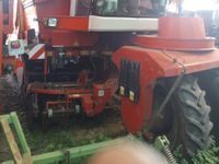 Grimme SF-170-60-UB - Kartoffelmaskiner - Optagere - 2