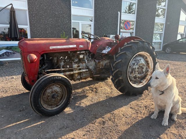 Massey Ferguson 35 benzin