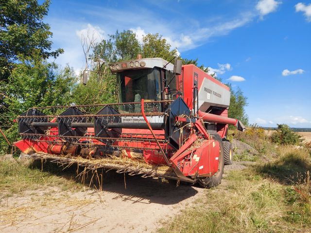 Massey Ferguson 7254