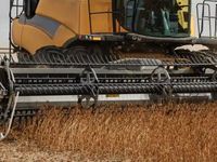 Macdon FD235 - Høstmaskiner tilbehør - Skærebord - 2