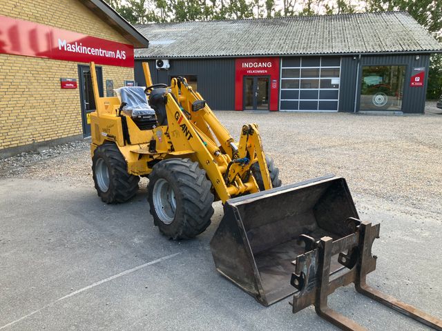 Giant V451T