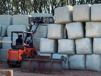 Cast 825 D - Læssemaskiner - Minilæssere - 3