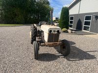 David Brown 880 Med defekt køler - Traktorer - Traktorer 2 wd - 16