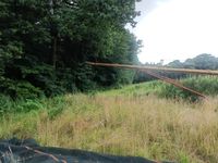 Westfield MK 80-61 18 m - Kornbehandling - Snegle - 2