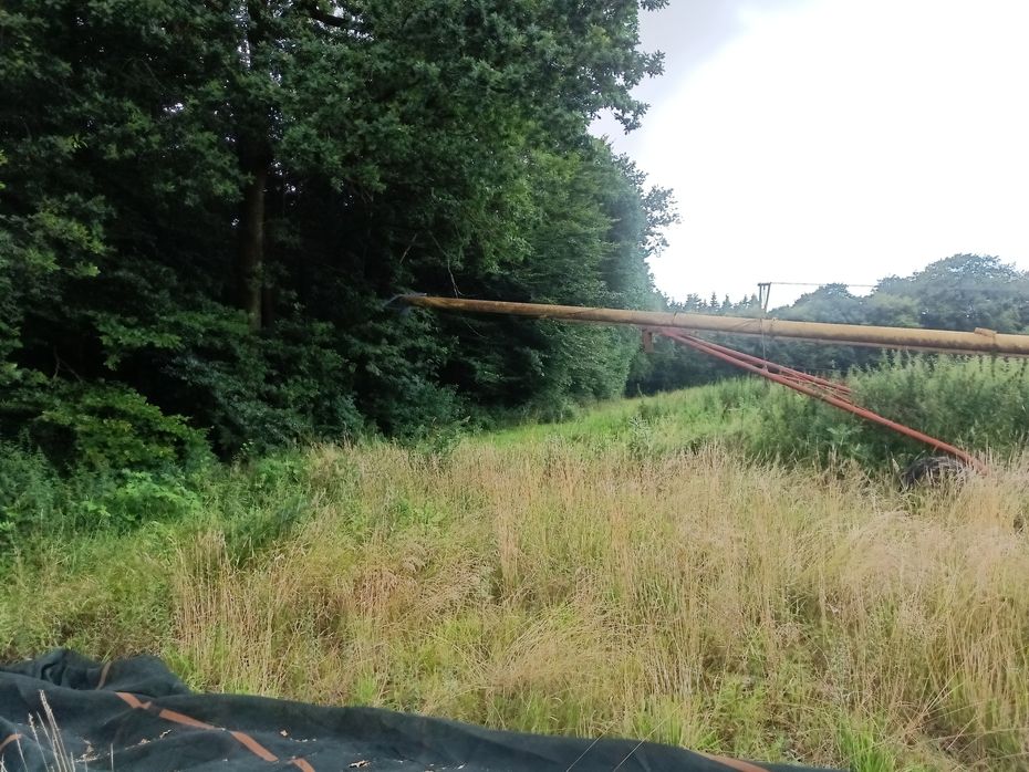 Westfield MK 80-61 18 m - Kornbehandling - Snegle - 2