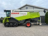 CLAAS LEXION 560 Med ny bælter og 4wd - Høstmaskiner - Mejetærskere - 8