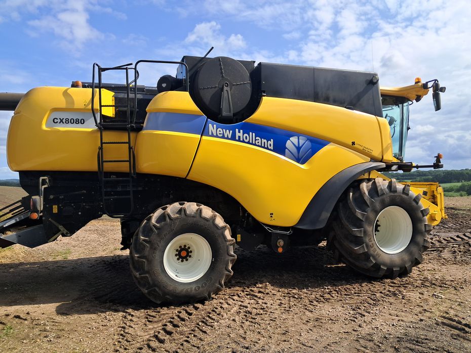 New Holland CX8080 - Høstmaskiner - Mejetærskere - 3