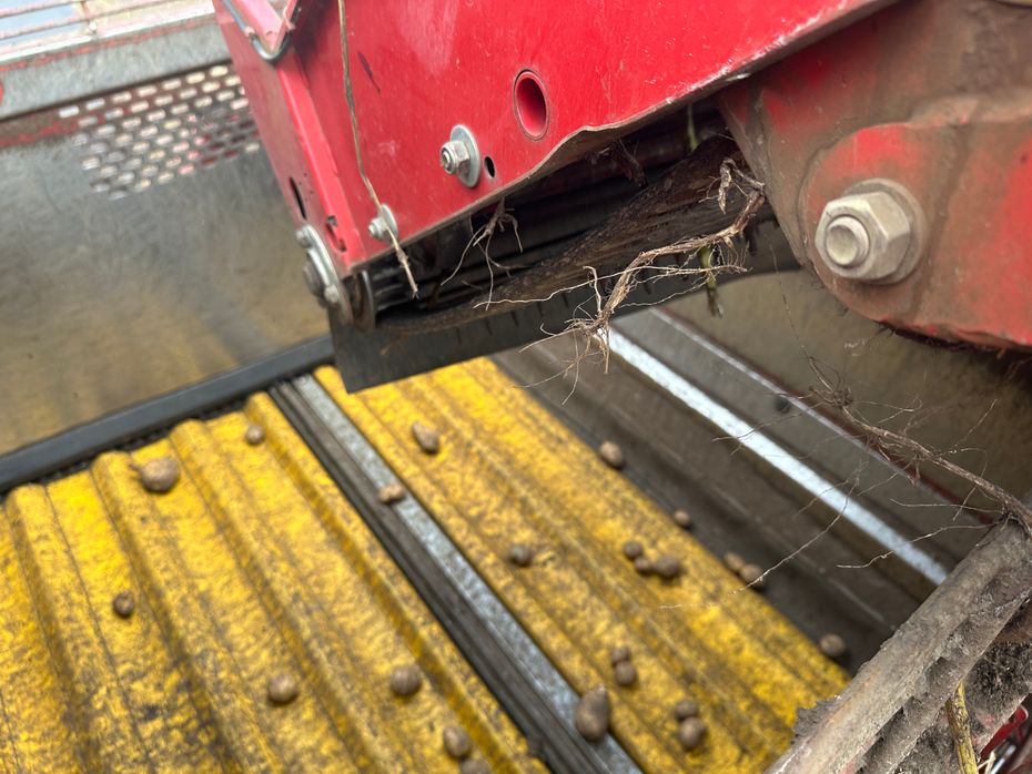 Grimme SE-150-60-NB - Kartoffelmaskiner - Optagere - 16