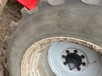 Grimme SE-150-60-NB - Kartoffelmaskiner - Optagere - 20