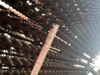 Grimme SE-150-60-NB - Kartoffelmaskiner - Optagere - 11