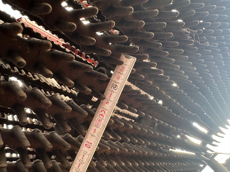 Grimme SE-150-60-NB - Kartoffelmaskiner - Optagere - 11