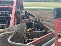 Grimme SE-150-60-NB - Kartoffelmaskiner - Optagere - 14