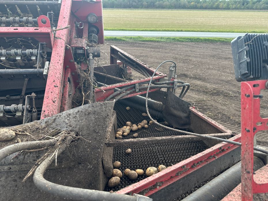 Grimme SE-150-60-NB - Kartoffelmaskiner - Optagere - 14