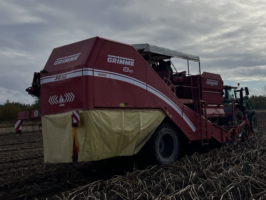 Grimme SE-260-UB - Kartoffelmaskiner - Optagere - 8