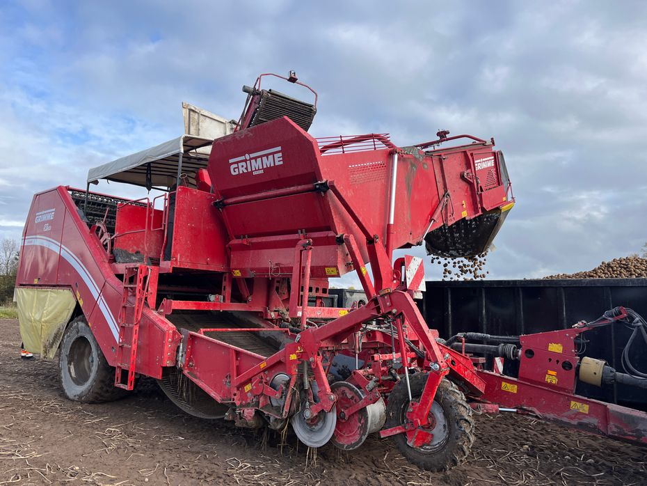 Grimme SE-260-UB - Kartoffelmaskiner - Optagere - 1