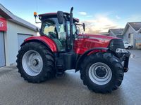 Case IH Puma 240 CVX  Traktor. - Traktorer - Traktorer 4 wd - 8