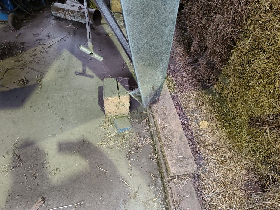 Kongskilde KBD MK 4  med elevator og stort oliefyr - Kornbehandling - Tørreri - 6