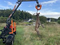 BMF 5 t. skovvogn med 4,3 m kran - Skovvogne - 5