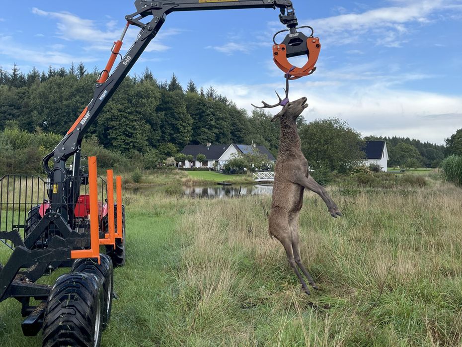 BMF 5 t. skovvogn med 4,3 m kran - Skovvogne - 5