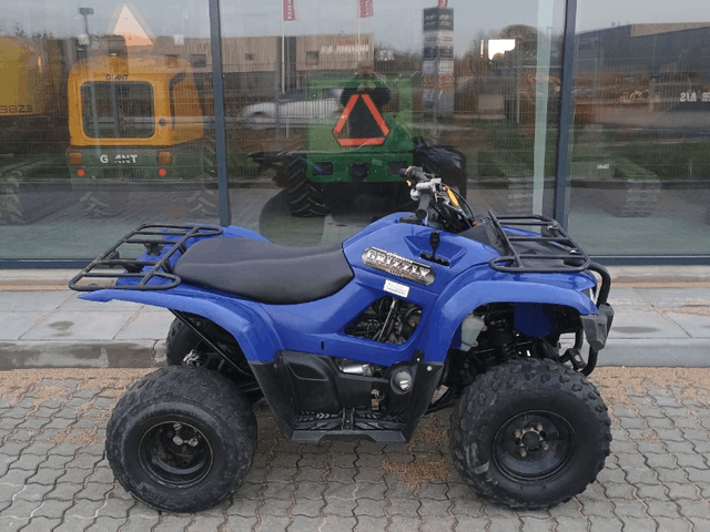 Yamaha Grizzly 300