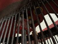 Grimme GT-170-M - Kartoffelmaskiner - Optagere - 14