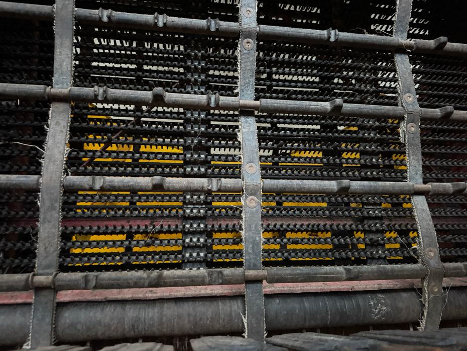 Grimme GT-170-M - Kartoffelmaskiner - Optagere - 13