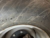 Grimme GT-170-M - Kartoffelmaskiner - Optagere - 20