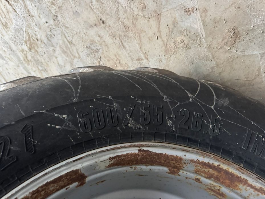 Grimme GT-170-M - Kartoffelmaskiner - Optagere - 21