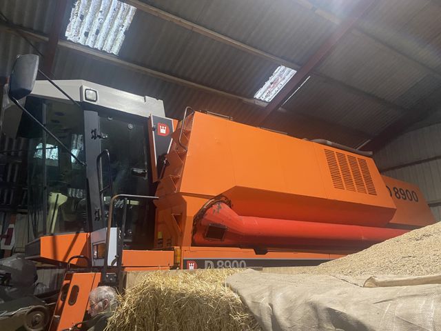 Dronningborg 8900 JUMBO