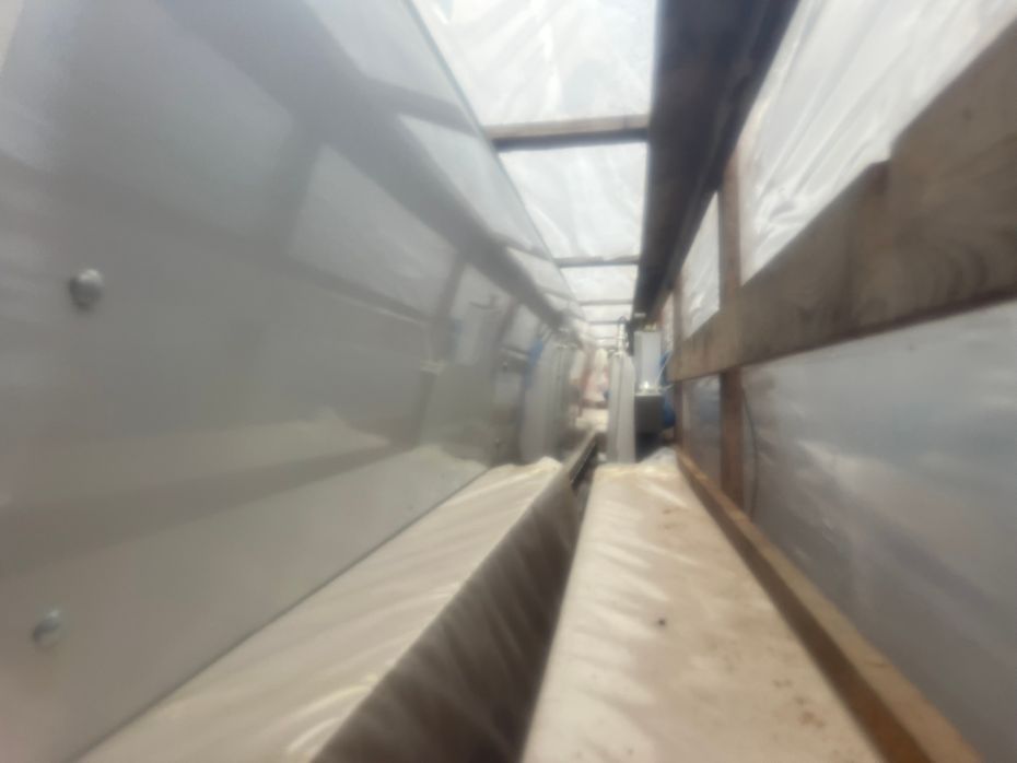 Ziegler Raps fortssats, Raps bord ,rapeseed harvesting equipment,  Rapstrennern 7500mm bord til Claas C750 - Høstmaskiner tilbehør - Rapsudstyr - 4