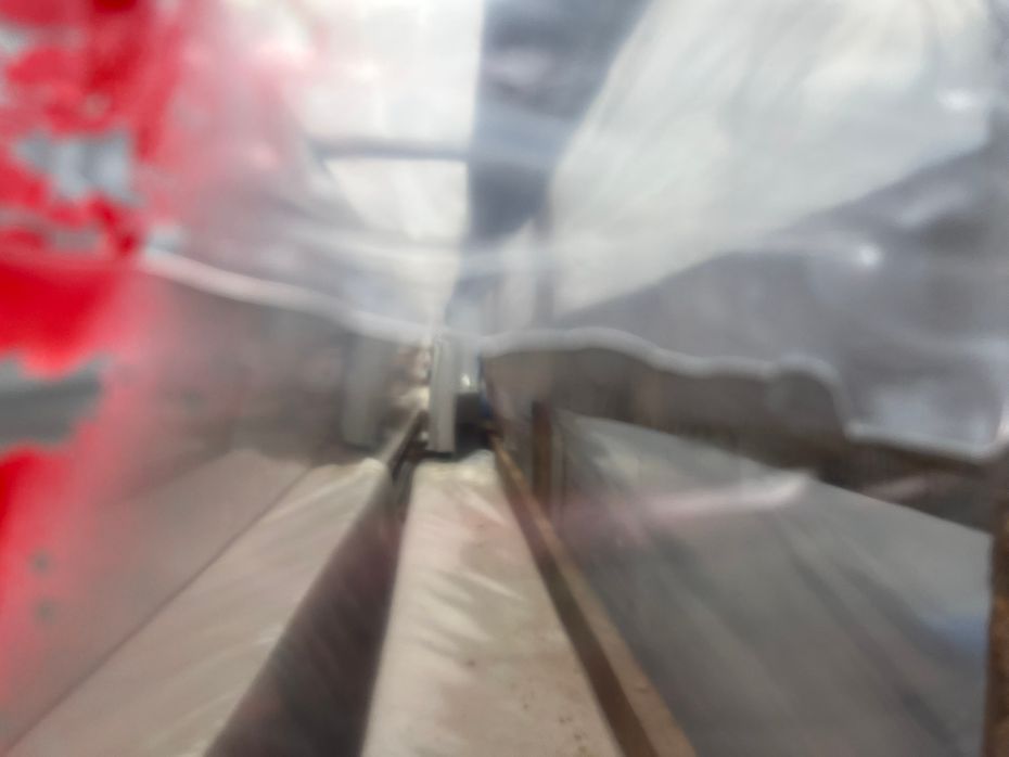 Ziegler Raps fortssats, Raps bord ,rapeseed harvesting equipment,  Rapstrennern 7500mm bord til Claas C750 - Høstmaskiner tilbehør - Rapsudstyr - 5