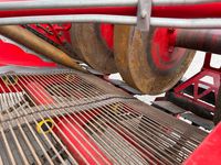 Grimme Ventor 4150 ClodSep - Kartoffelmaskiner - Optagere - 7