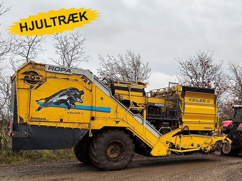 Ropa Keiler II L WD - Kartoffelmaskiner - Optagere - 1