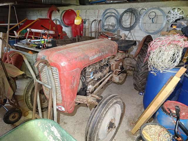 Massey Ferguson 35 benzin