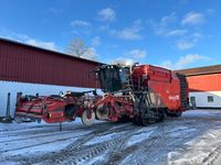 Dewulf Kwatro GII Flexiweb + Axialruller - Kartoffelmaskiner - Optagere - 1