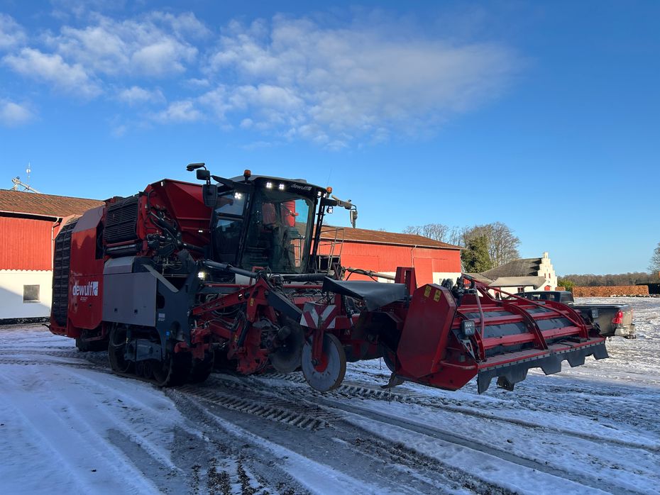 Dewulf Kwatro GII Flexiweb + Axialruller - Kartoffelmaskiner - Optagere - 2