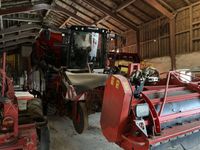 Dewulf Kwatro GII Flexiweb + Axialruller - Kartoffelmaskiner - Optagere - 6