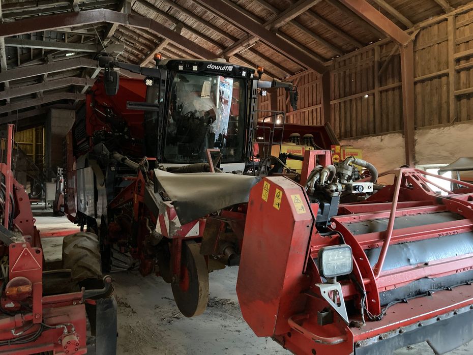 Dewulf Kwatro GII Flexiweb + Axialruller - Kartoffelmaskiner - Optagere - 6