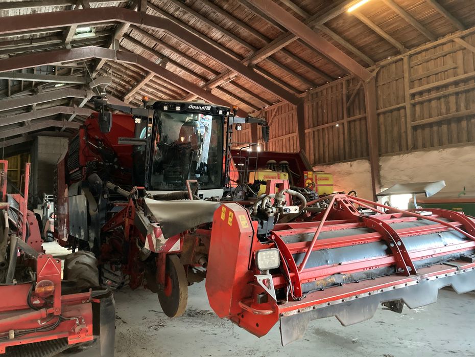 Dewulf Kwatro GII Flexiweb + Axialruller - Kartoffelmaskiner - Optagere - 7