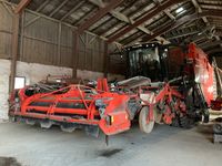 Dewulf Kwatro GII Flexiweb + Axialruller - Kartoffelmaskiner - Optagere - 5