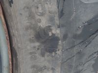 Case IH 844XL - Traktorer - Traktorer 2 wd - 20