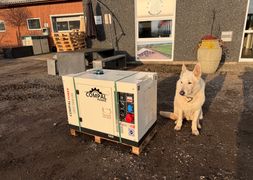 Compal Power VGR110 11 KVA Stjsvag Diesel Generator