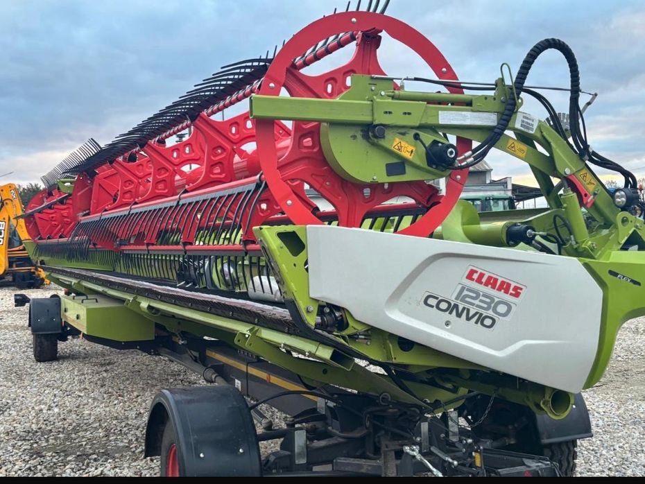 CLAAS Lexion 8900TT Claas lexion 8900TT + Convio 1230 flex - Høstmaskiner - Mejetærskere - 2