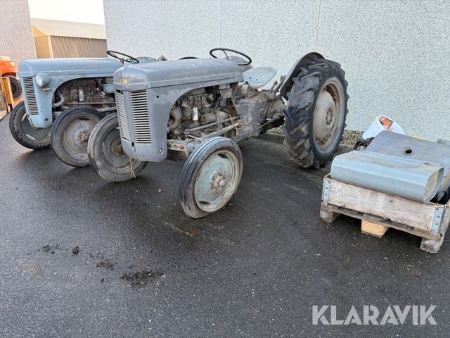 Ferguson 31