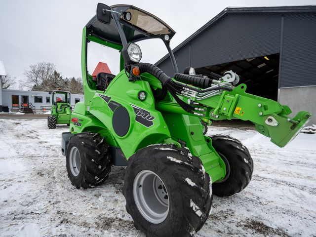 Avant / Staldkat 640