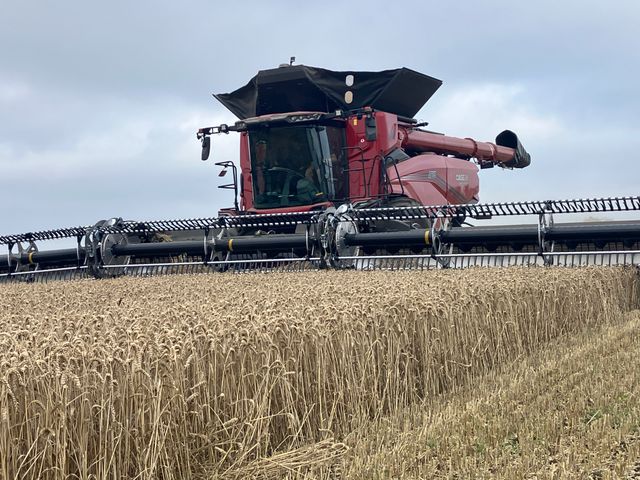 Case IH Axial Flow AF10