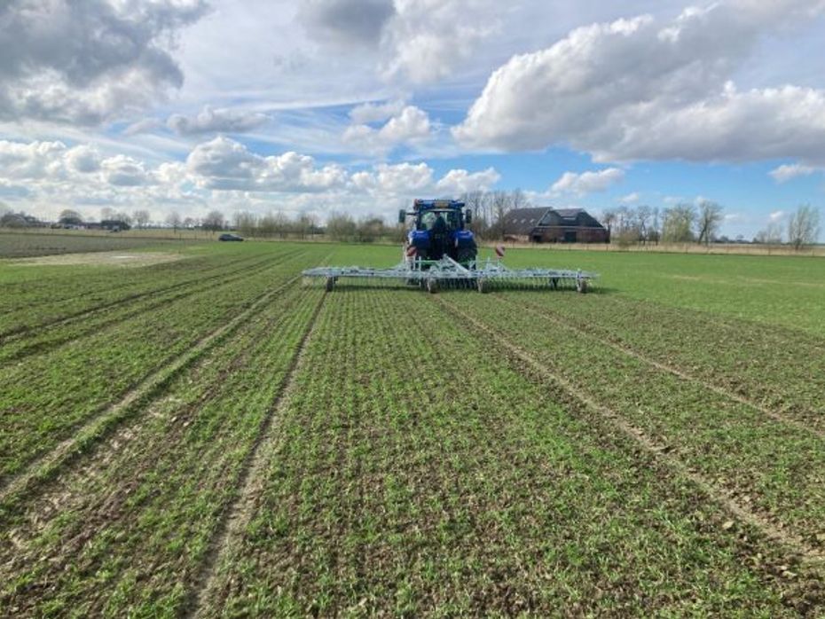 Zocon Weeder 15m - Ukrudtsbekæmpelse - Strigler - 4