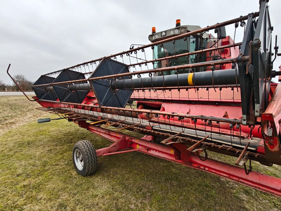 Massey Ferguson MF 40 - Høstmaskiner - Mejetærskere - 16